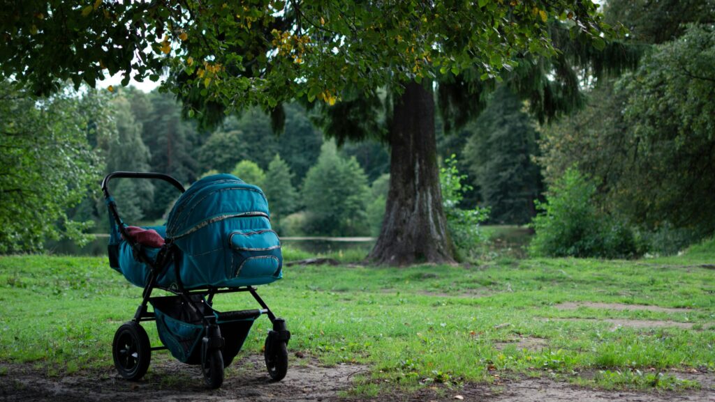 all terrain stroller in the nature